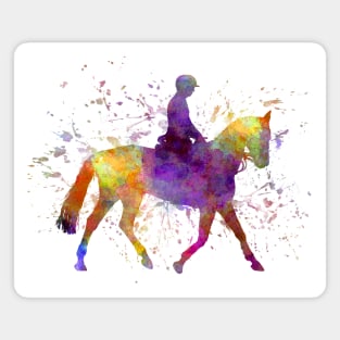 Watercolor horse show Magnet